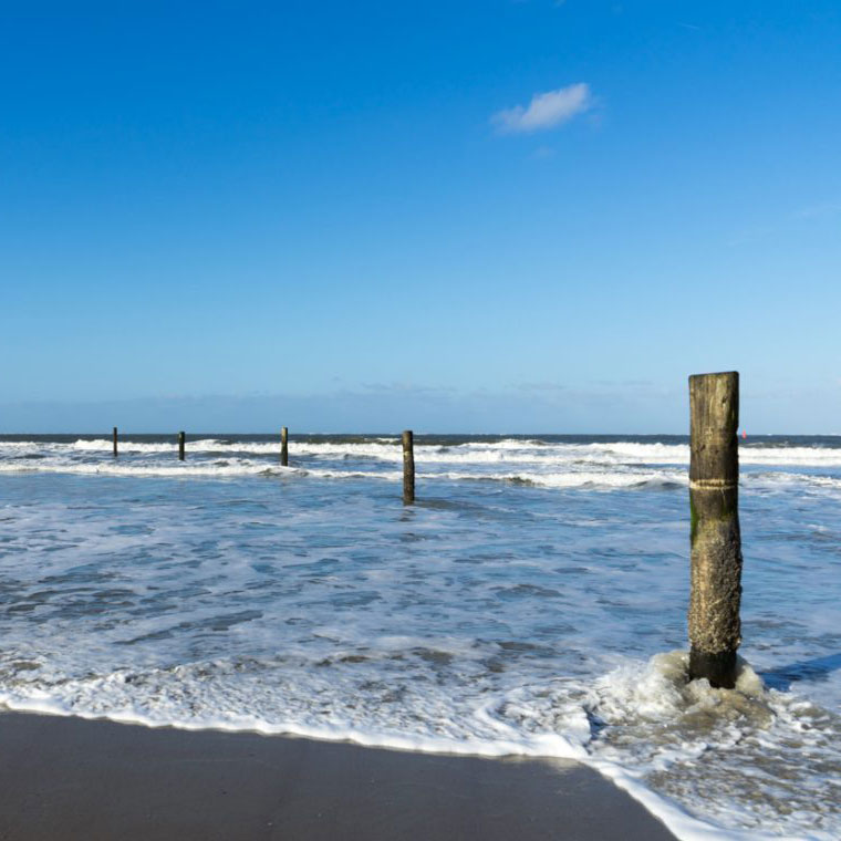 Gästebeitrag Norderney FeWo