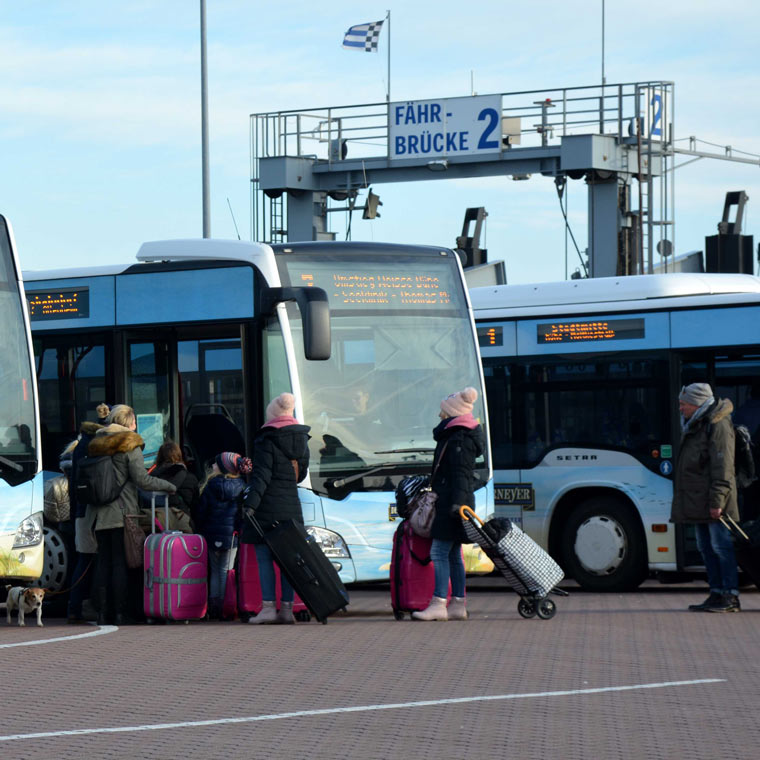Inselbus Norderney FeWo