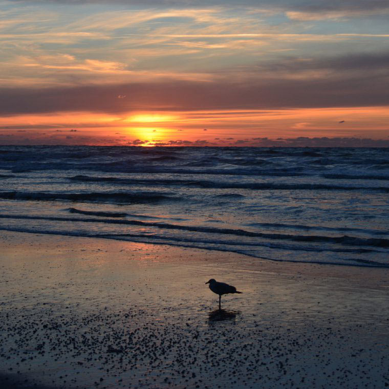 Inselwetter Norderney FeWo